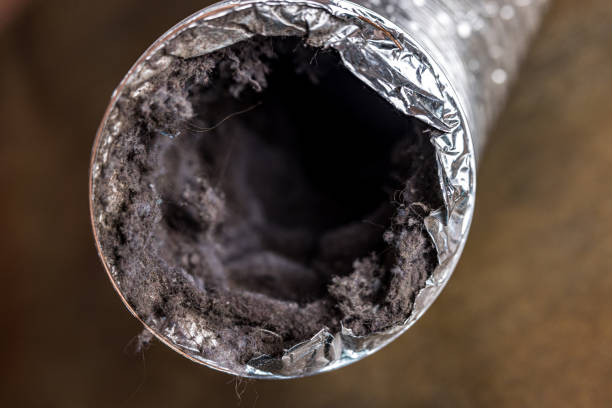 Best Air Duct Cleaning Near Me  in Davison, MI