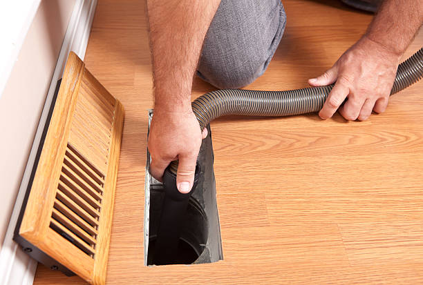 Best Ductwork Cleaning Services  in Davison, MI