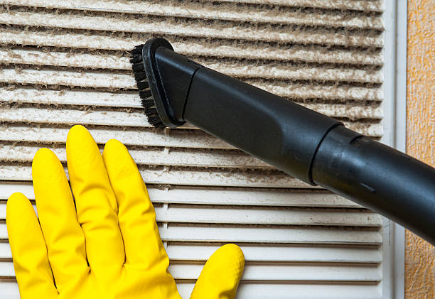 Best Air Vent Cleaning Services  in Davison, MI