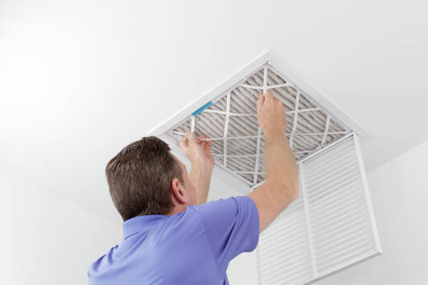 Best Residential Air Duct Cleaning  in Davison, MI